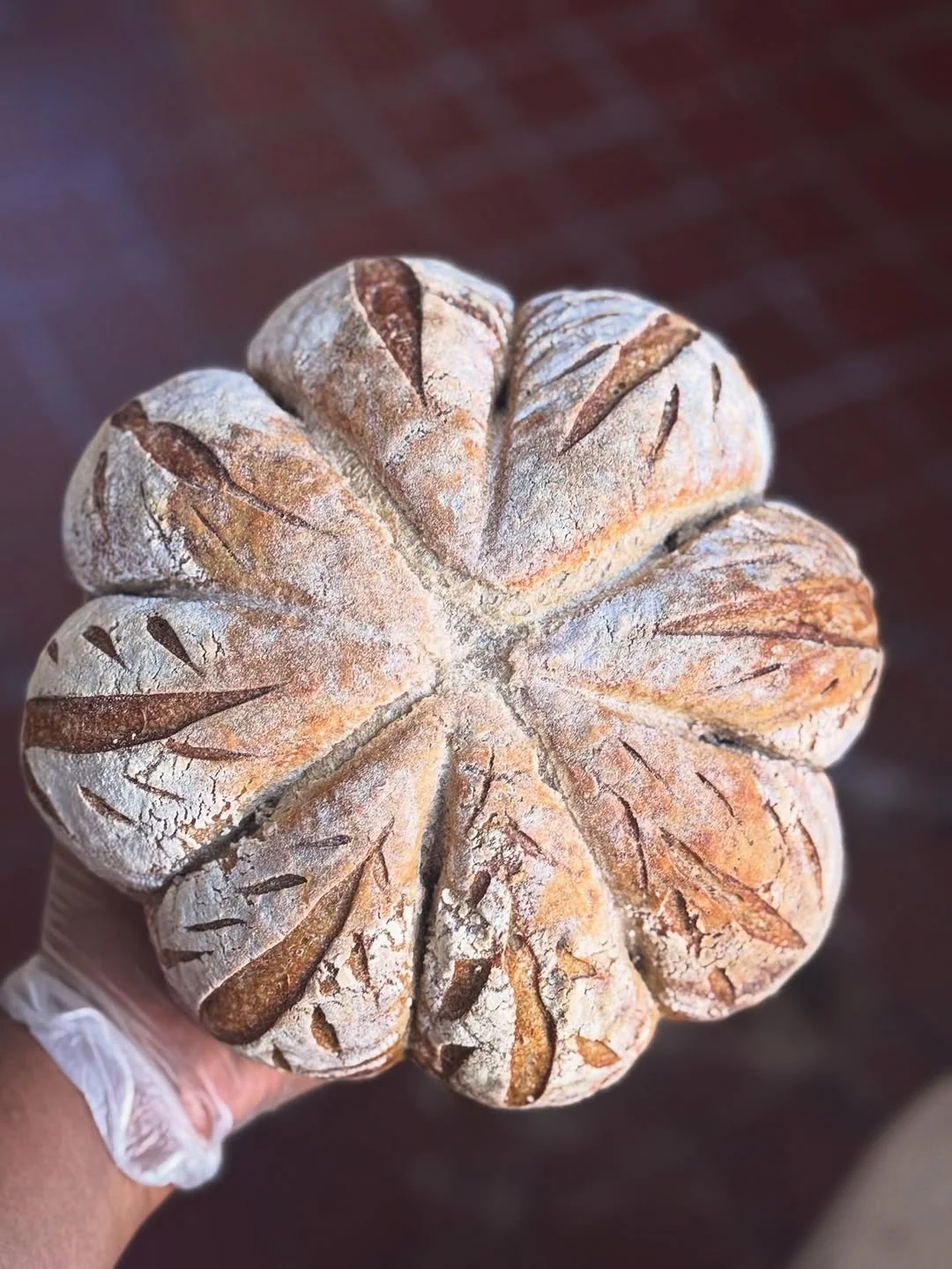 Fleur — petal-scored country sourdough boule, 30% whole rye, cold-fermented 24 hours